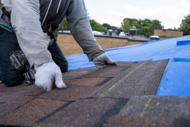Best Commercial Roofing Services  in Berryville, VA