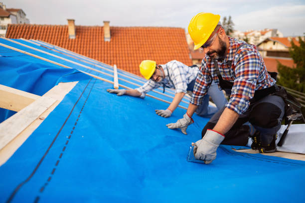 Best Roof Maintenance Services  in Berryville, VA